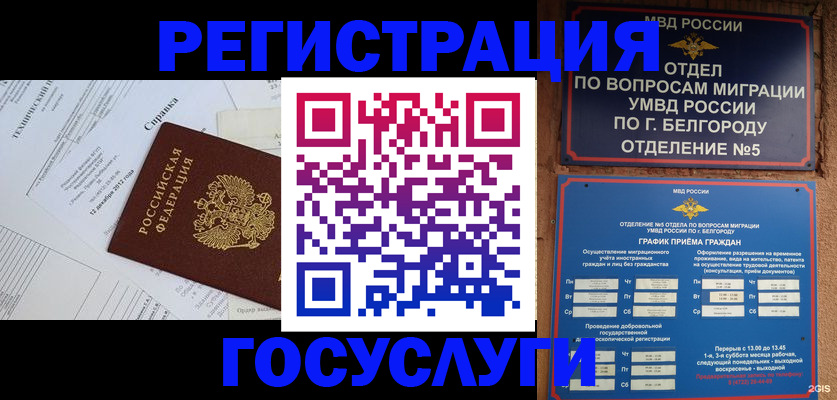 временная прописка в Белокурихе